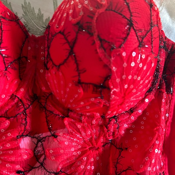 Red Top - Picture 2 of 4